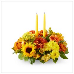 Autumn Harmony Centerpiece from Parkway Florist in Pittsburgh PA